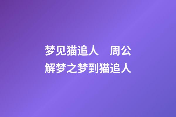 梦见猫追人　周公解梦之梦到猫追人
